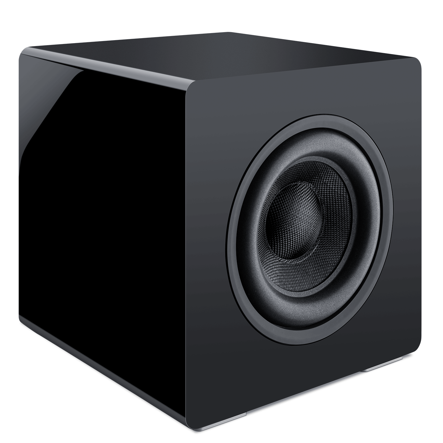 Reference FTEQ Dual 12" Subwoofer Multivoltage Proficient