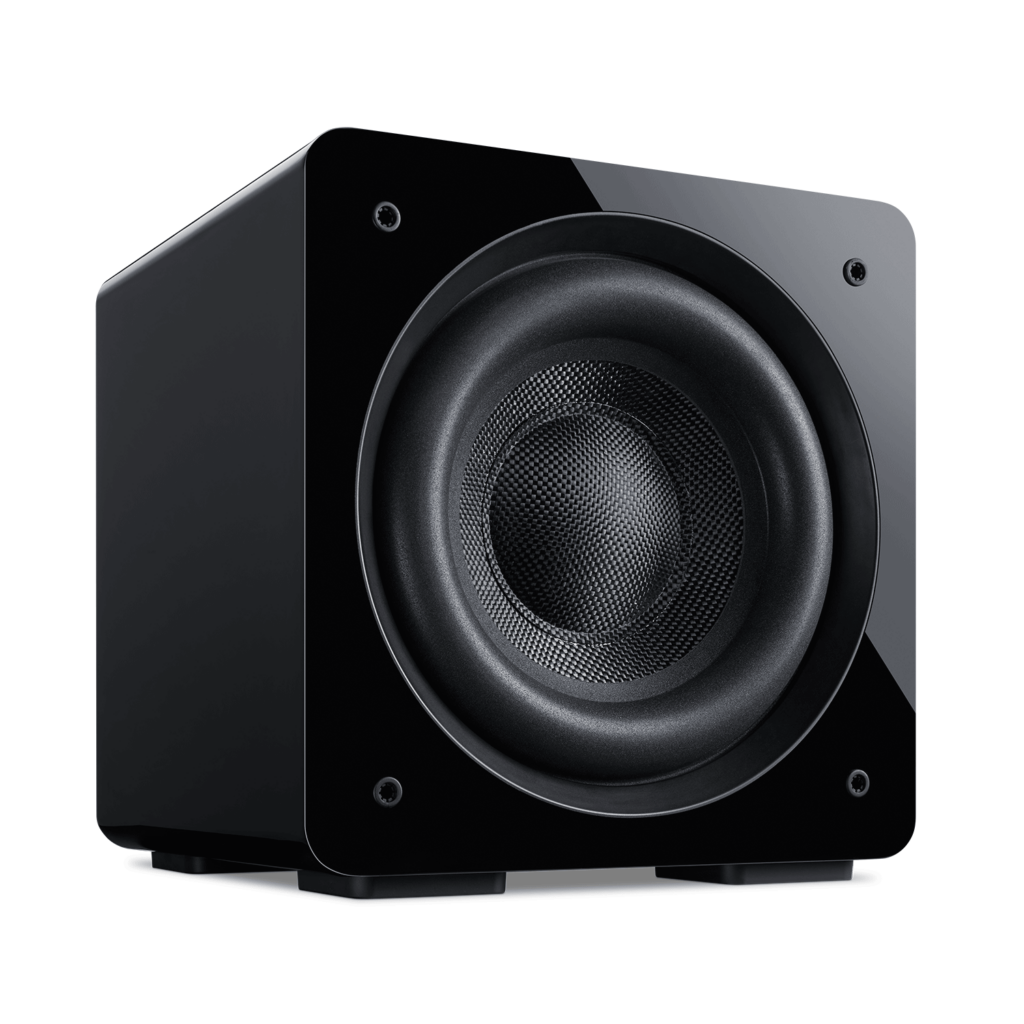 Signature FRS 10" Subwoofer Multivoltage Proficient